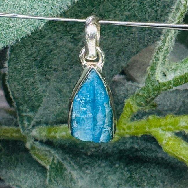 Blue Apatite Pendants - Rough Bezel Set - Sterling Silver Raw Natural