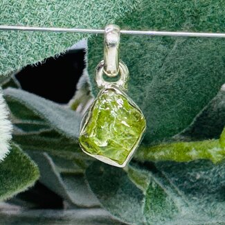 Peridot Pendants - Rough Bezel Set - Sterling Silver Raw Natural