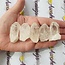 Clear (Crystal) Quartz Points - Small Rough Raw Natural