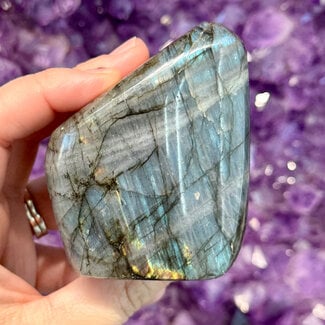 Labradorite Free Forms - Medium (2-3") Flat Base