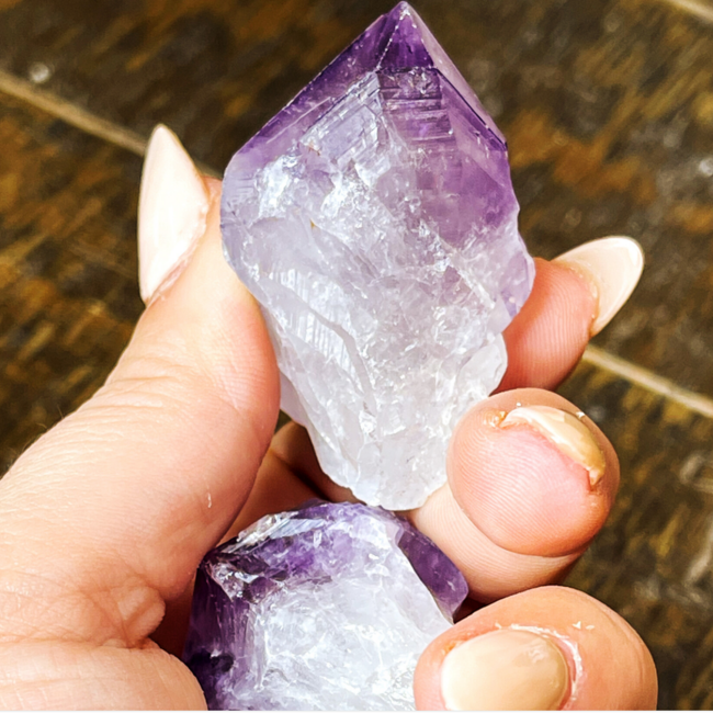 Dark Amethyst Point (Dragons Tooth Teeth Root Elestial ) - Medium Rough Raw Natural