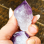 Dark Amethyst Point (Dragons Tooth Teeth Root Elestial ) - Medium Rough Raw Natural