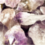 Dark Amethyst Point (Dragons Tooth Teeth Root Elestial ) - Medium Rough Raw Natural