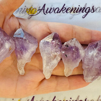 Amethyst Point (Dragons Tooth Teeth Root Elestial ) - Medium Rough Raw Natural