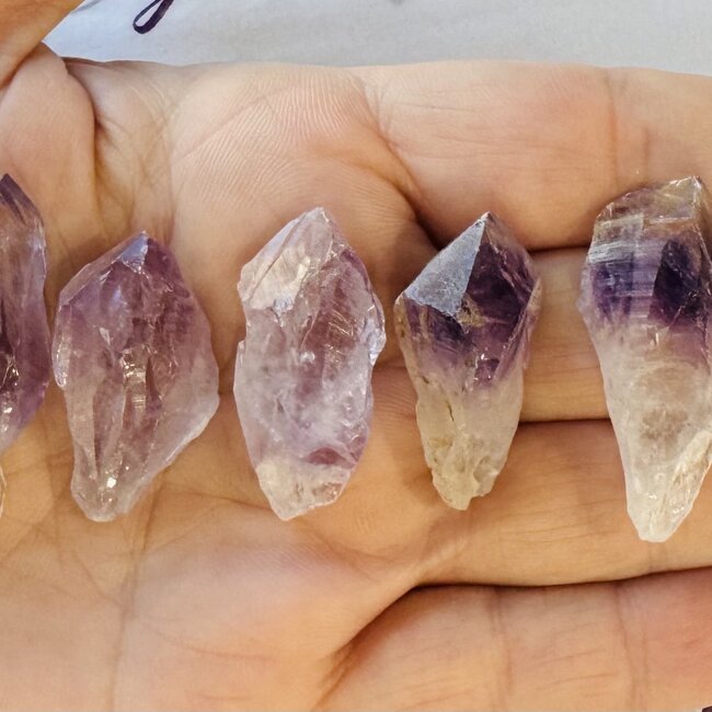 Amethyst Point (Dragons Tooth Teeth Root) - Small Rough Raw Natural
