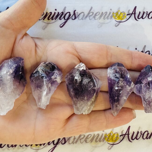 Dark Amethyst Point (Dragons Tooth Teeth Root Elestial ) - Medium Rough Raw Natural