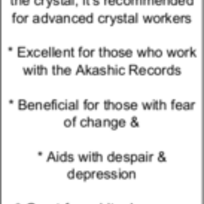 Black Tourmaline w/12mm Russian Phenakite Bead Bracelets - 8mm