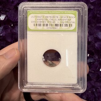 Campo Del Cielo (Argentina) Meteorite in Case