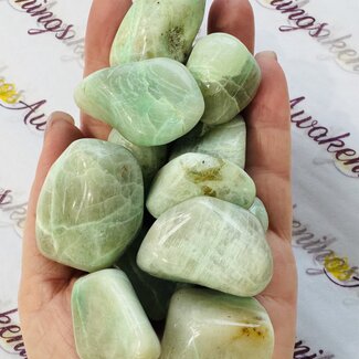 Green Moonstone (Garnierite) - Large Tumbled