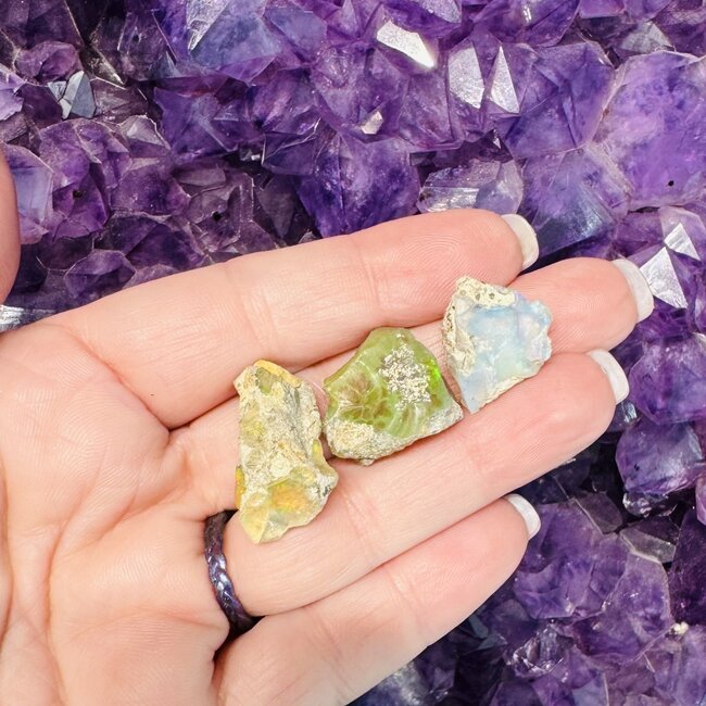 Boulder Opal Medium - Rough Raw Natural