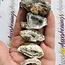 Ocos Agate Geodes Small - Rough Raw Natural