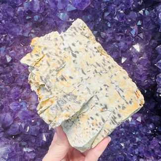 Dalmatian Jasper - Large Rough Raw Natural 5-9"
