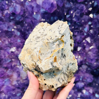 Dalmatian Jasper - Medium Rough Raw Natural 4-5"