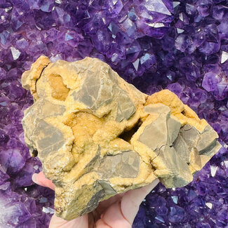 Septarian Jasper (Dragon Stone) Extra Large XL - Rough Raw Natural