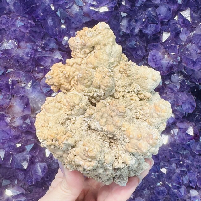 Fossilized Coral Specimen - Large Rough Raw Natural
