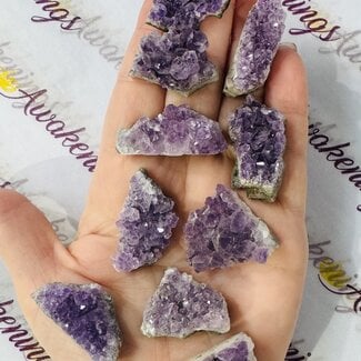 Amethyst Cluster Druzy Small - Rough Raw Natural