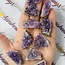 Amethyst Cluster Druzy Small - Rough Raw Natural