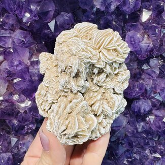 Desert Rose Gypsum Cluster- Large (5-6") Rough Raw Natural