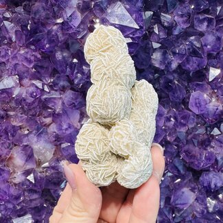 Desert Rose Gypsum Cluster- Large Rough Raw Natural