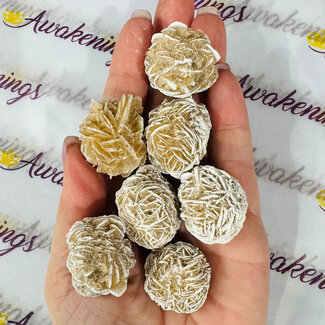 Desert Rose Gypsum (Single) Large - Rough Raw Natural