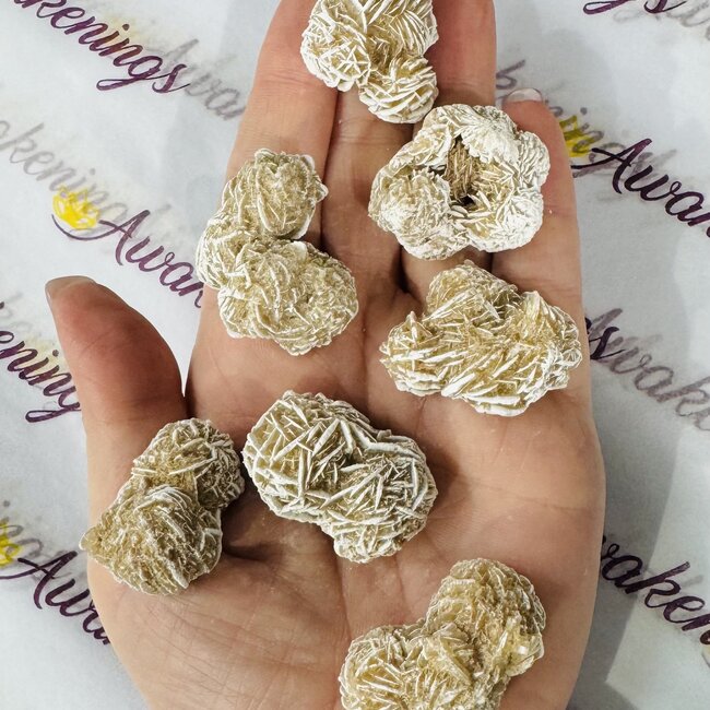 Desert Rose Gypsum Clusters - Small Rough Raw Natural