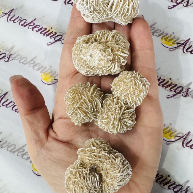 Desert Rose Cluster Medium - Rough Raw Natural