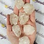 Elestial (Skeletal Window Jacare Alligator) Clear Crystal Quartz - Medium - Rough Raw Natural