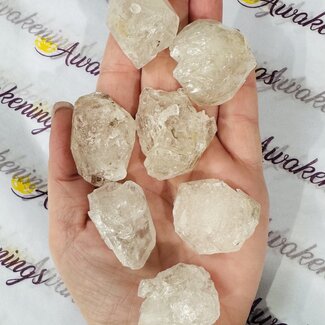 Elestial (Skeletal Window Jacare Alligator) Clear Crystal Quartz - Large (1-1.5")- Rough Raw Natural