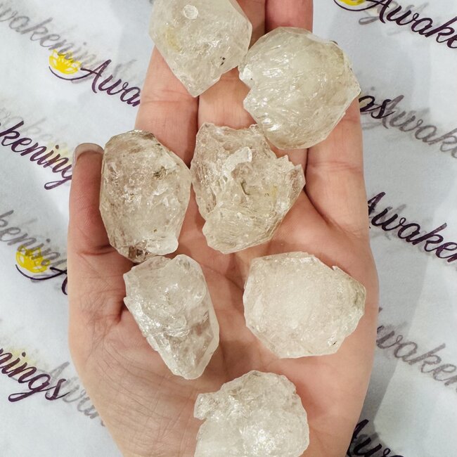 Elestial (Skeletal Window Jacare Alligator) Clear Crystal Quartz - Large (1-1.5")- Rough Raw Natural