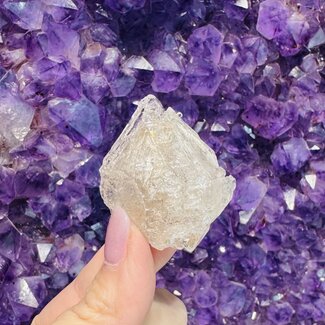 Elestial (Skeletal Window Jacare Alligator) Clear Crystal Quartz - (Fancy) Large (1-1.5")- Rough Raw Natural