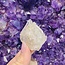 Elestial (Skeletal Window Jacare Alligator) Clear Crystal Quartz - (Fancy) Large (1-1.5")- Rough Raw Natural