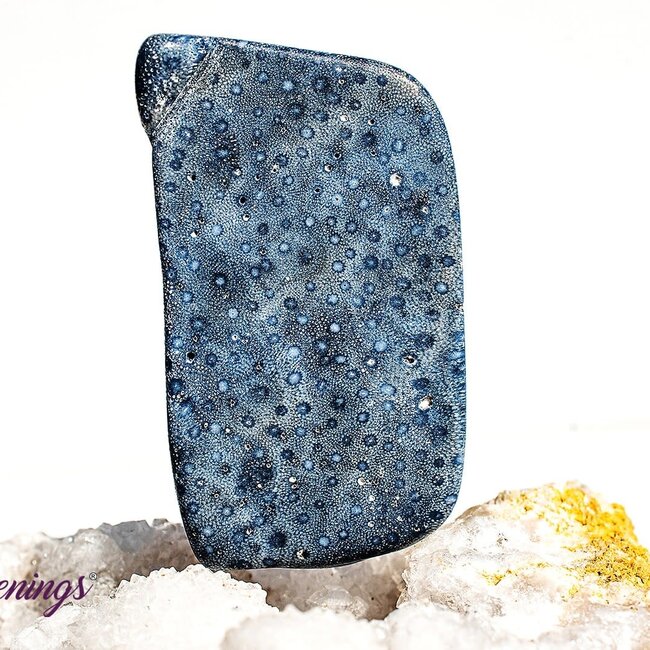 Blue Sponge Coral - Tumbled