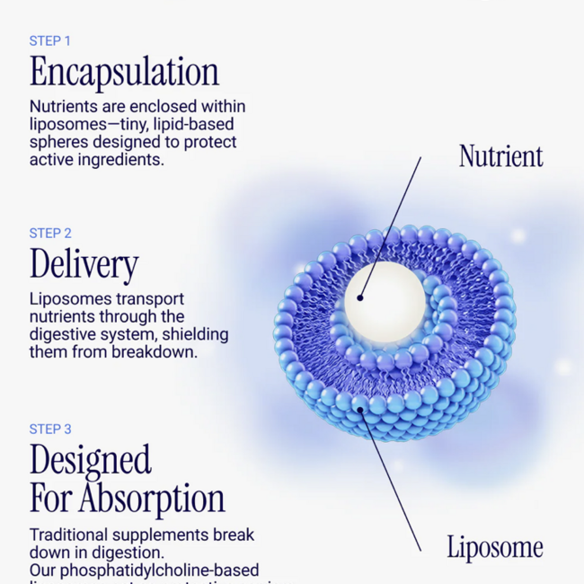 Liposomal Curcumin + Resveratrol - Rho Nutrition