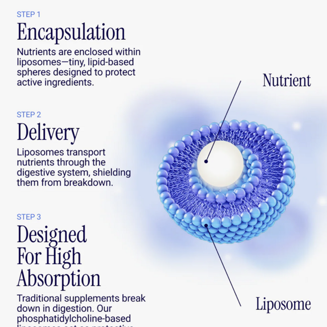 Liposomal Creatine Monohydrate - Rho Nutrition