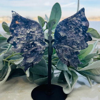 Iolite Butterfly Wings on Black Pin Stand (AAA Grade) - 6.5" Specimen Carving