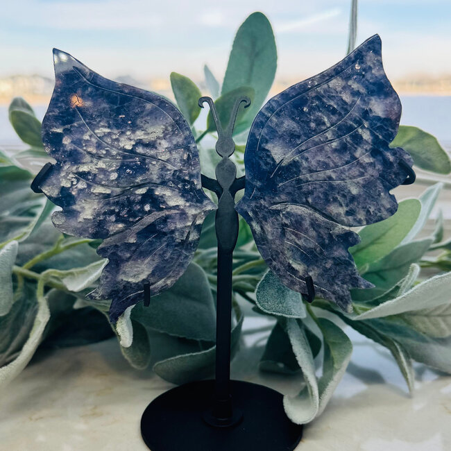 Iolite Butterfly Wings on Black Pin Stand (AAA Grade) - 6.5" Specimen Carving