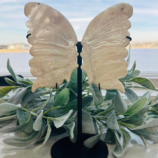 White (Rainbow) Moonstone Angel Butterfly Wings on Black Pin Stand - 10" Carving Specimen