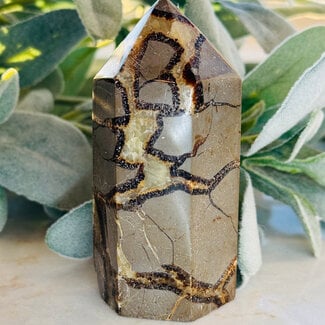 Septarian (Dragon Stone) Tower Point Generator - Large (4-6")