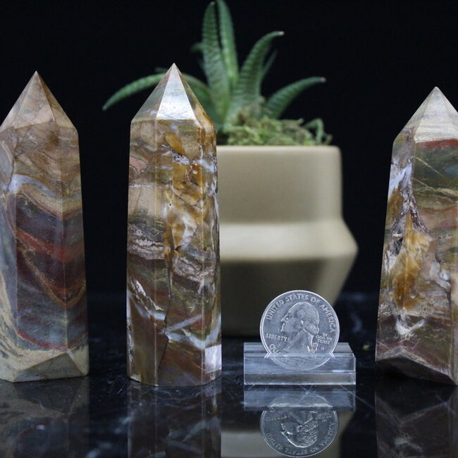 Petrified Wood Tower Point Generator - Medium (3 - 4")