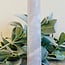 Blue Rose Quartz Tower Point Generator - Extra Large XL Specimen 8"+