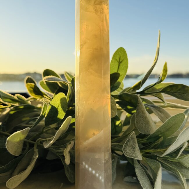 Blue Rose Quartz Tower Point Generator - Extra Large XL Specimen 8"+