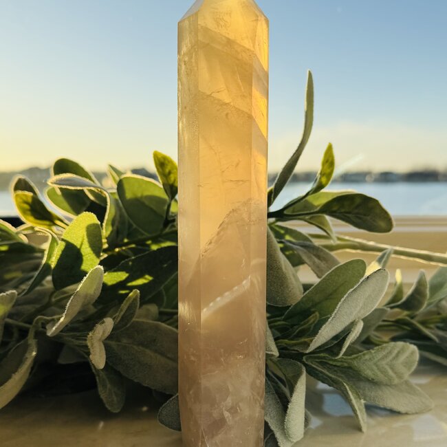 Rose Quartz Generator Tower Point - XL Extra Large (8")