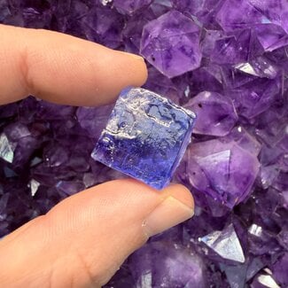 Blue Halite - Rough, Raw Natural