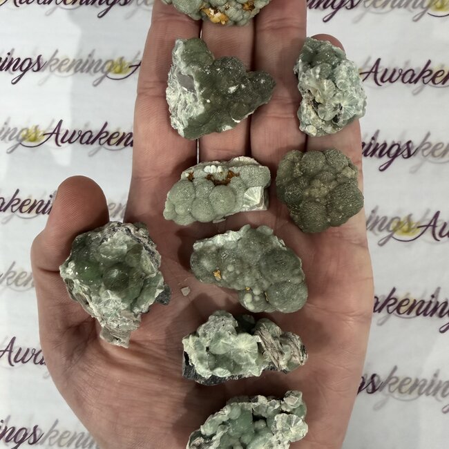 Wavellite (Devonite Fischerite Lasionite Lazionite Bialite) - Rough Raw Natural