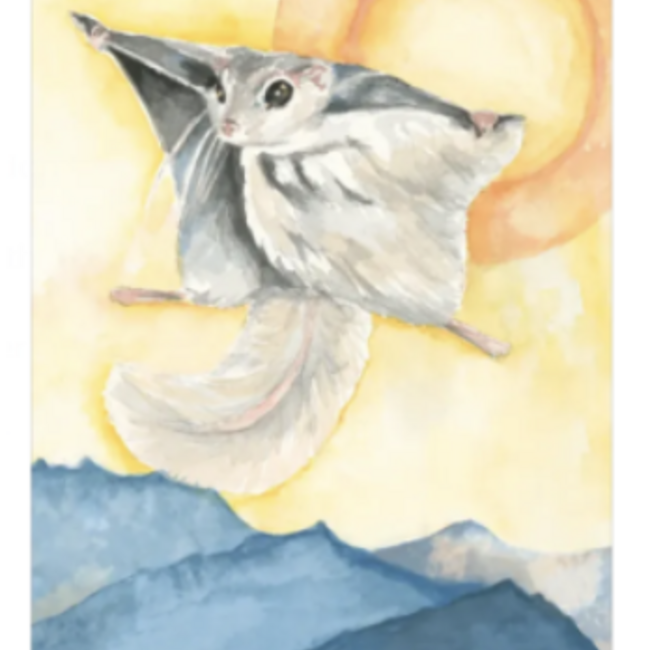 Black Seed Tarot Cards - Oracle Cards Deck