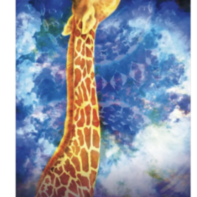 Wild Dreams Animal Oracle Cards Deck - Tarot Cards