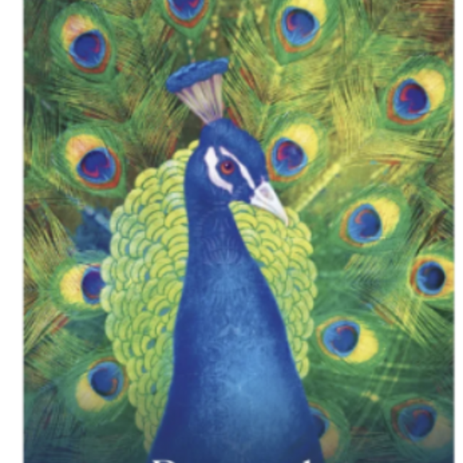 Wild Dreams Animal Oracle Cards Deck - Tarot Cards