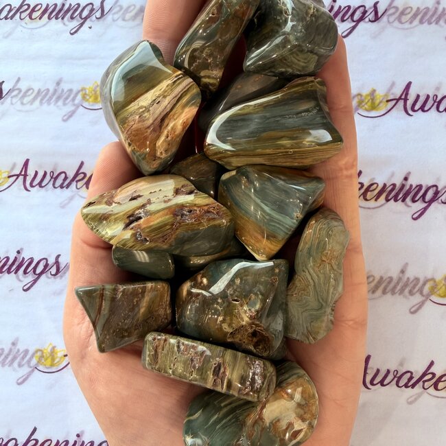 Swamp Bogwood (Larsonite) - Tumbled