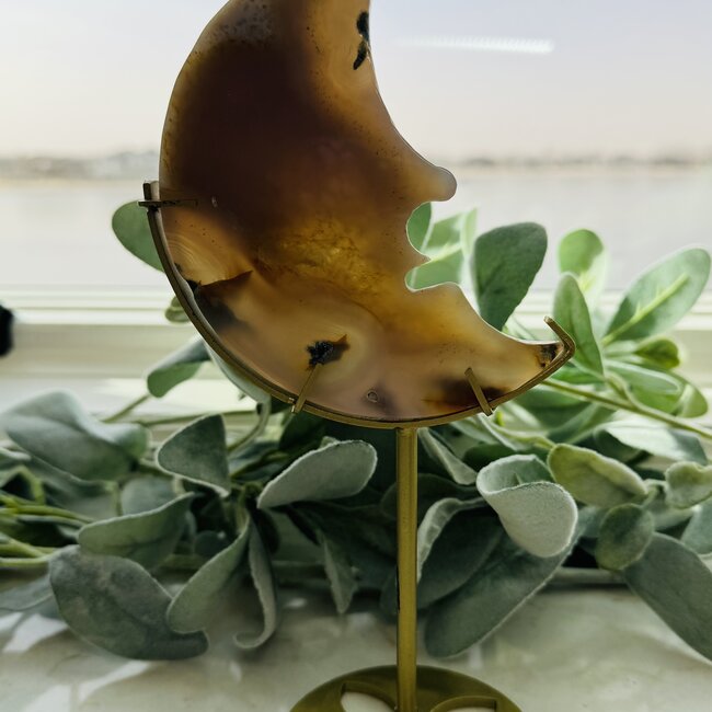 Druzy Agate Crescent Moon Face on Gold Pin Stand - 9" Specimen Carving