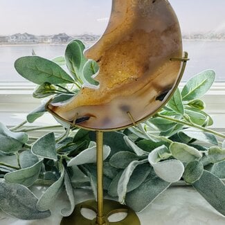 Druzy Agate Crescent Moon Face on Gold Pin Stand - 9" Specimen Carving